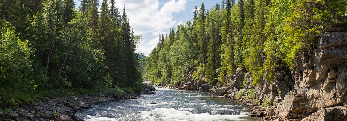 当院について画像１